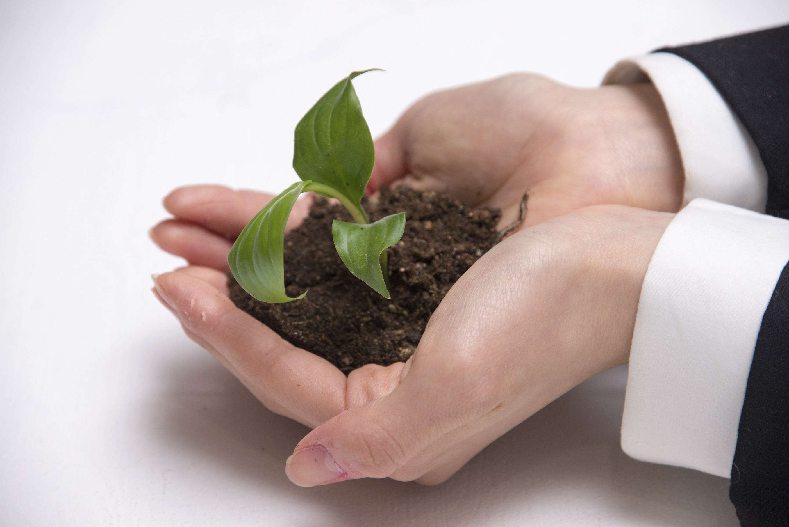 Create a Succession Plan Now